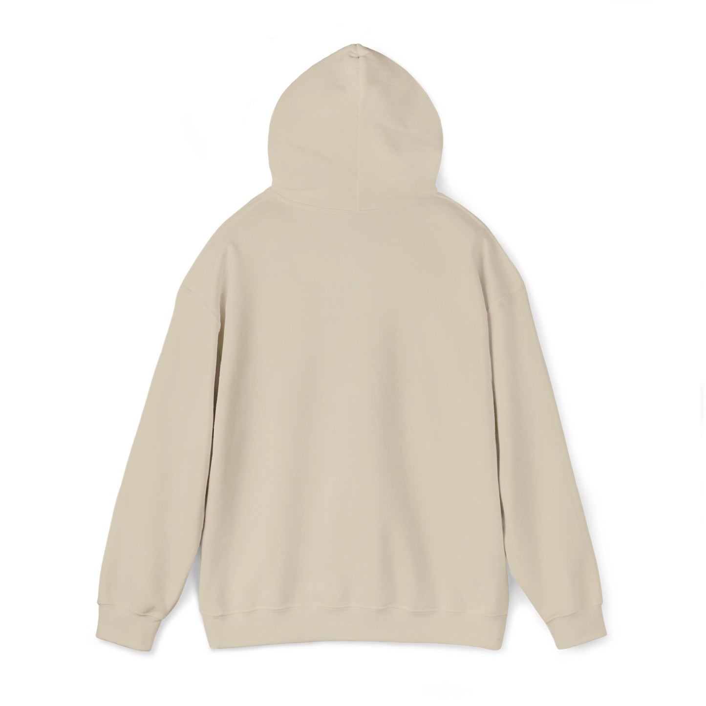 Professional Overthinker Hoodie | sarcastic sweatshirt, self-deprecating quote